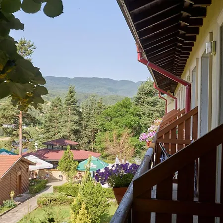 Balneohotel 3*
